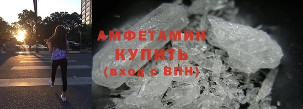 прущие грибы Михайлов