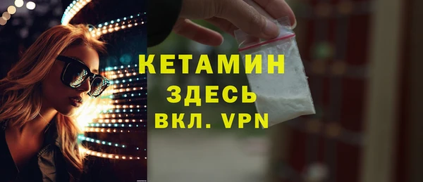 прущие грибы Михайлов