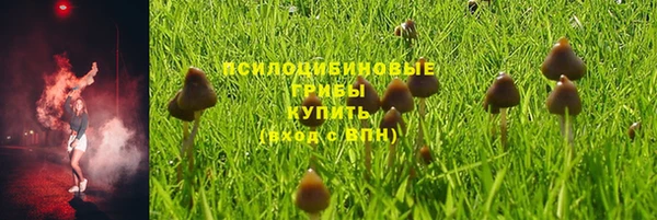 дурь Абинск