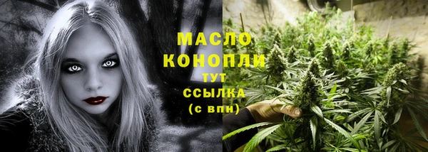 прущие грибы Михайлов