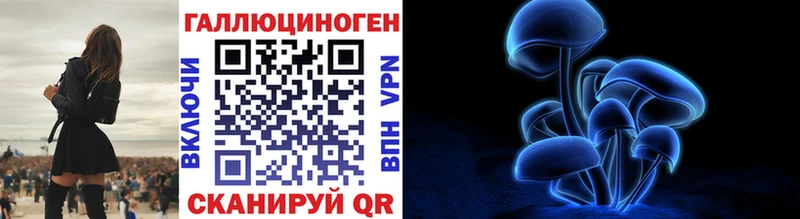 ссылка на мегу зеркало  Прокопьевск  Псилоцибиновые грибы мицелий 