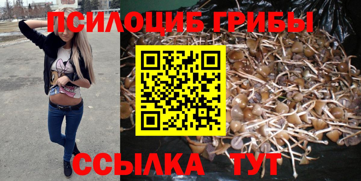 Галлюциногенные грибы Psilocybine cubensis  Вход с VPN  Прокопьевск  Галлюциногенные грибы Psilocybine cubensis 
